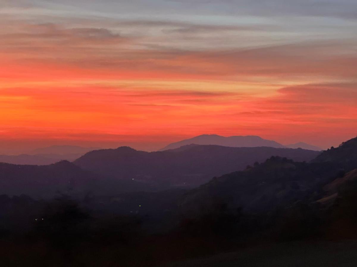 The Sequoia Guesthouse Miramonte エクステリア 写真